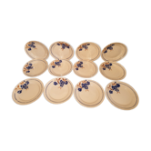 Suite of 12 flat plates badonvillers