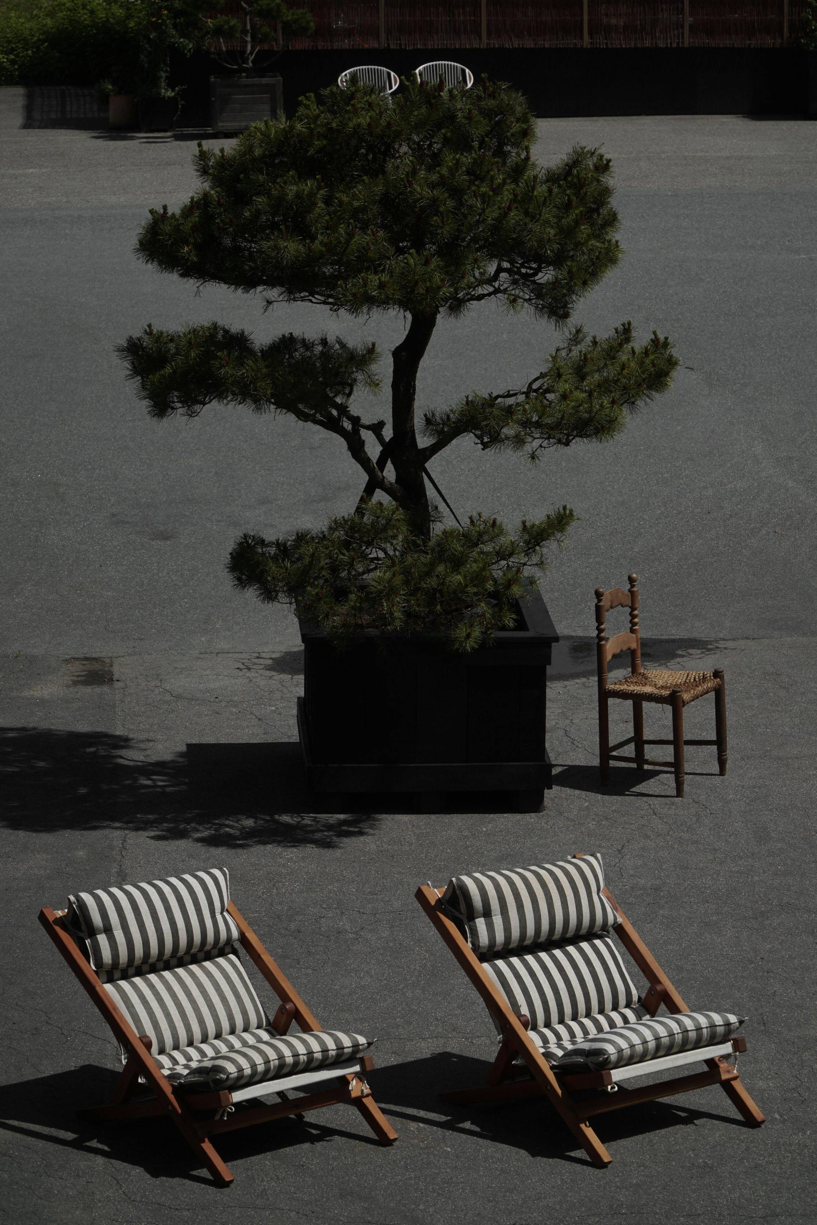 Mid-century dining/lounge chairs in pine and striped cotton canvas, Denmark, 1970s.