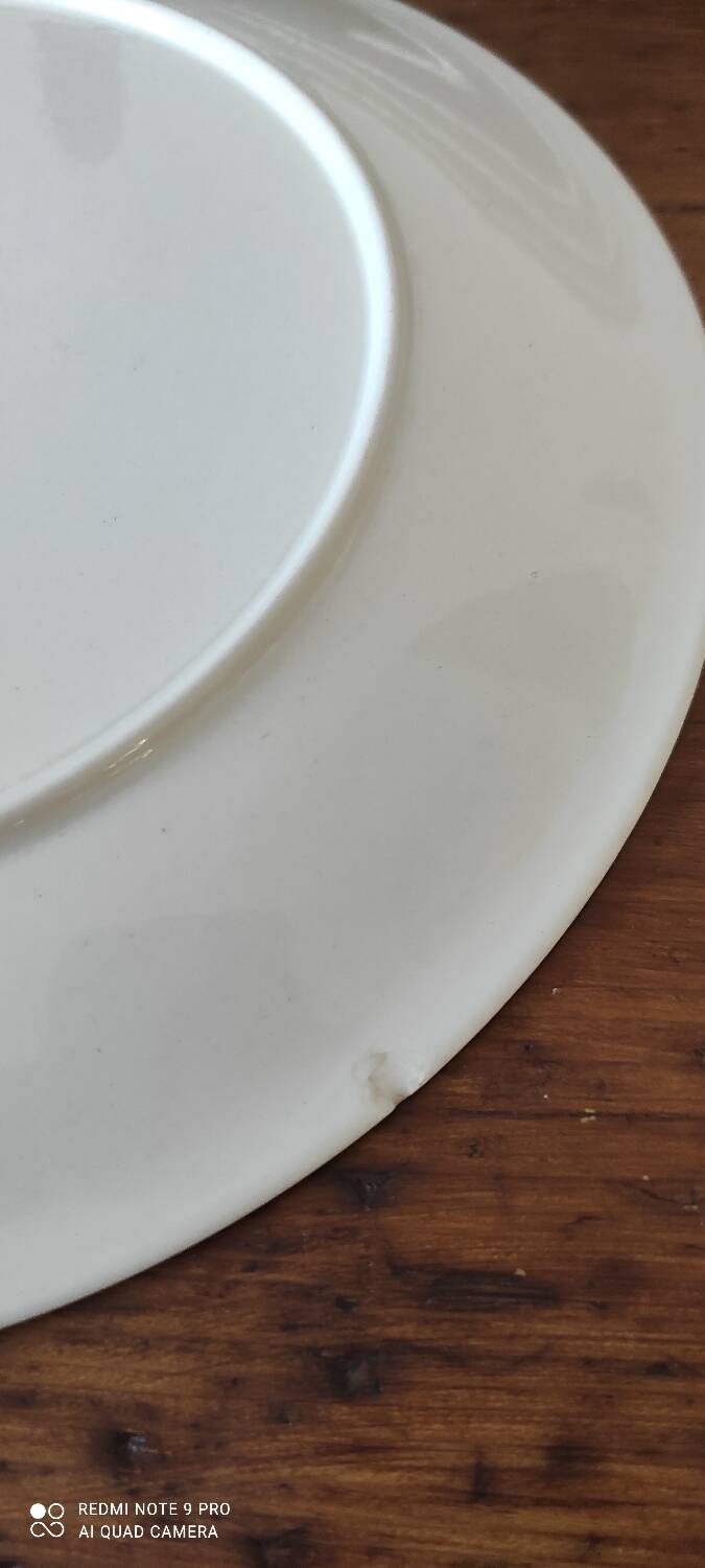 Villeroy and Boch Acapulco Plate Set