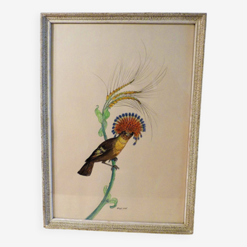 Aquarelle de Hélène Gasset-Ousset (signé) -Oiseau Porte-éventail - encre de chine "Pièce unique"