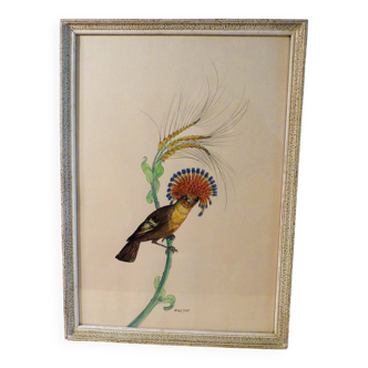 Watercolor by Hélène Gasset-Ousset (signed) - Bird fan holder - Indian ink "Unique piece"