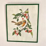Antique engraving bird in metal frame