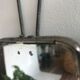 Trio of mirrors