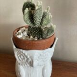 Owl plant pot
