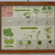 Set of 10 Rossignol posters on plants with frame