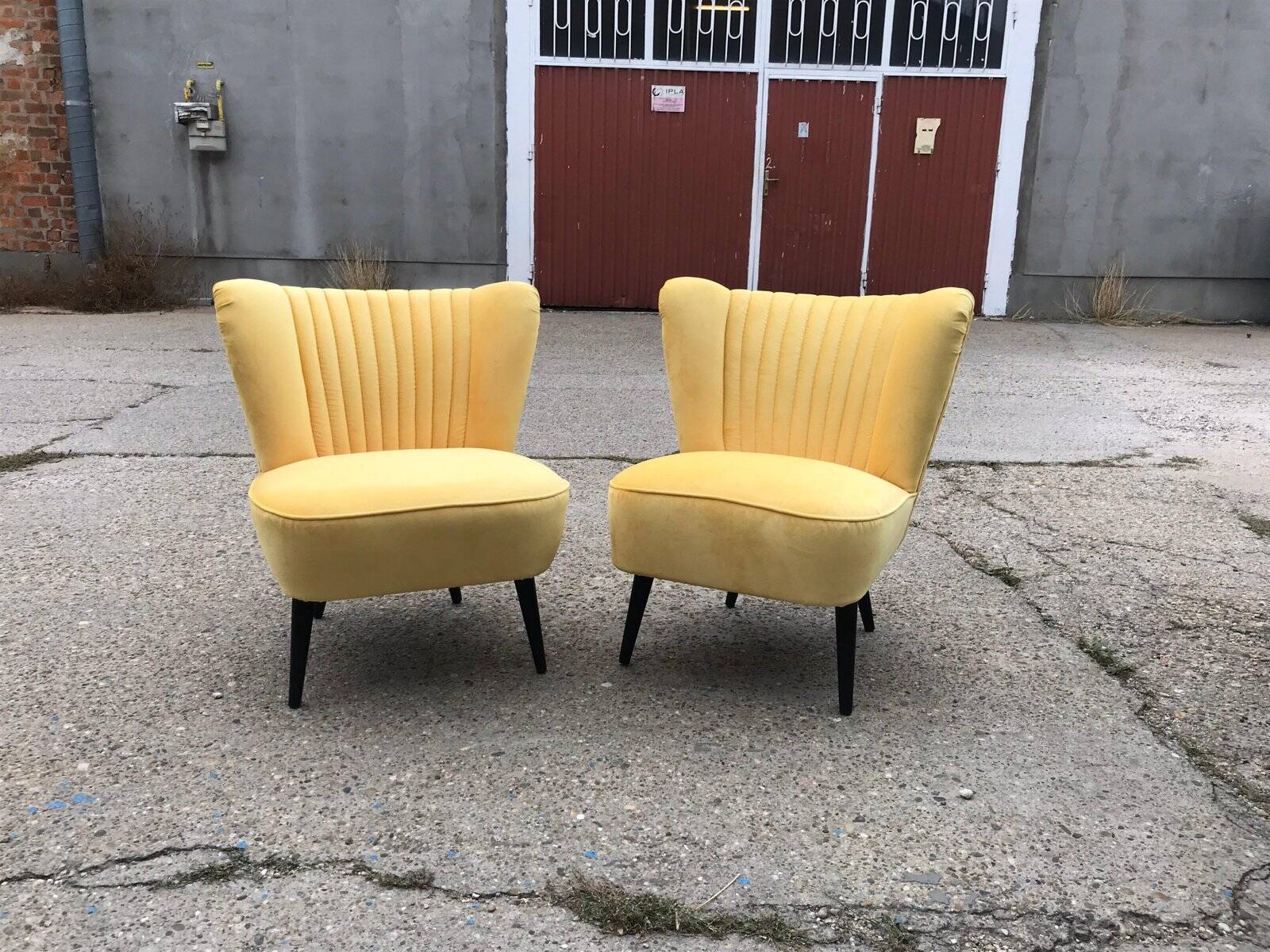 Set de 2 fauteuils cocktail jaunes en velours et hêtre massif années 1950