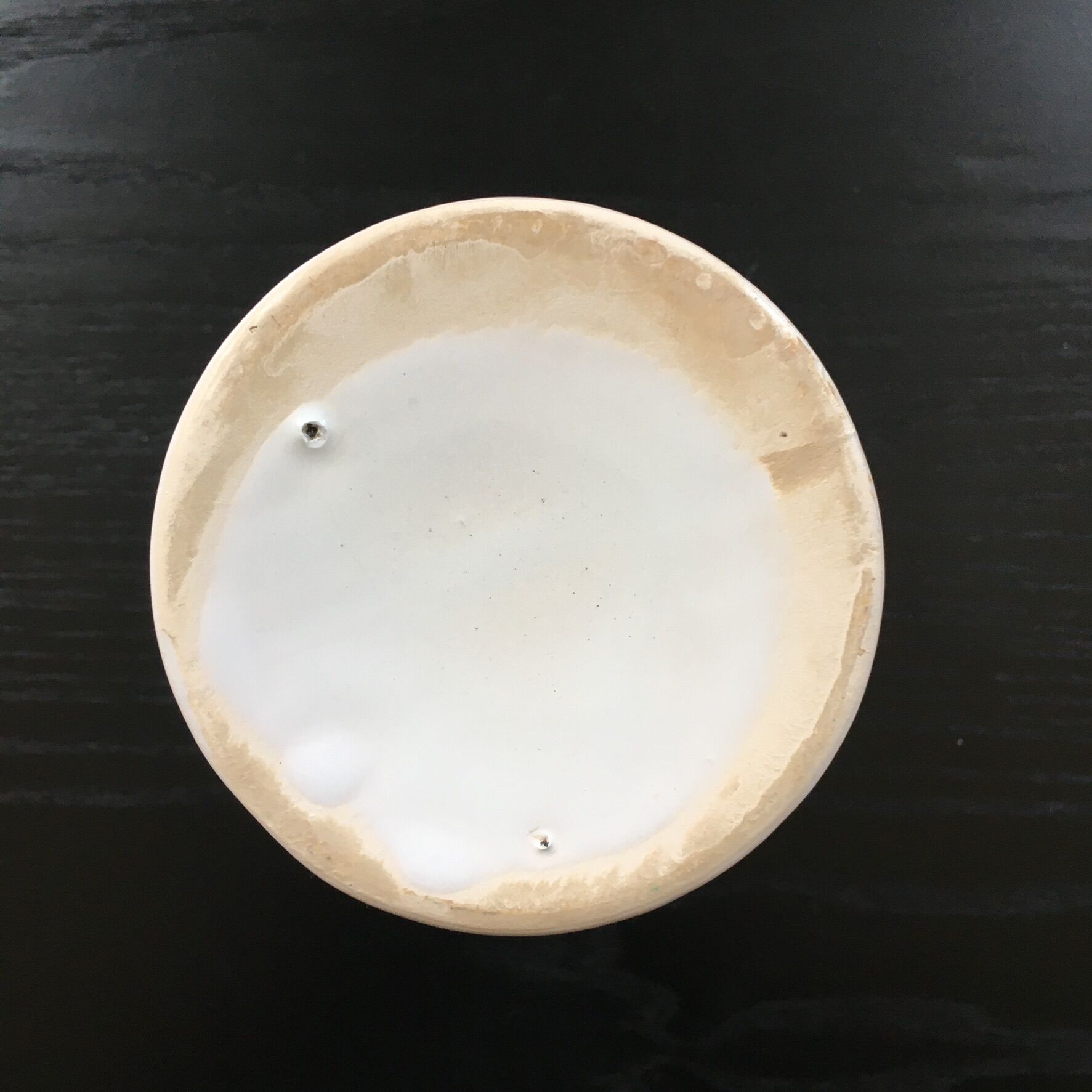 Medici style white vase