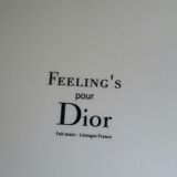 Empty pocket porcelain feelings for dior