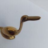 Cygne cuivré jaune