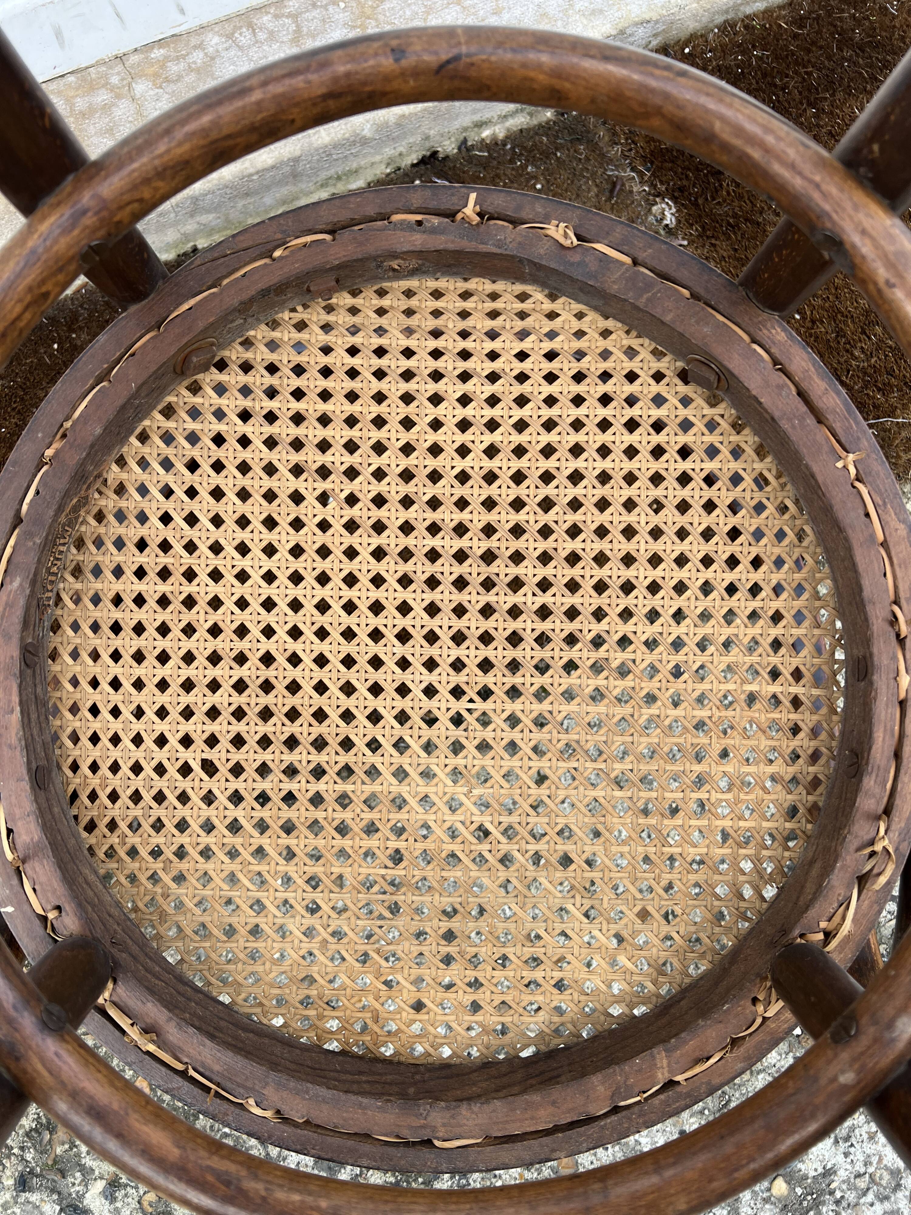 Thonet 209 chair by Mundus