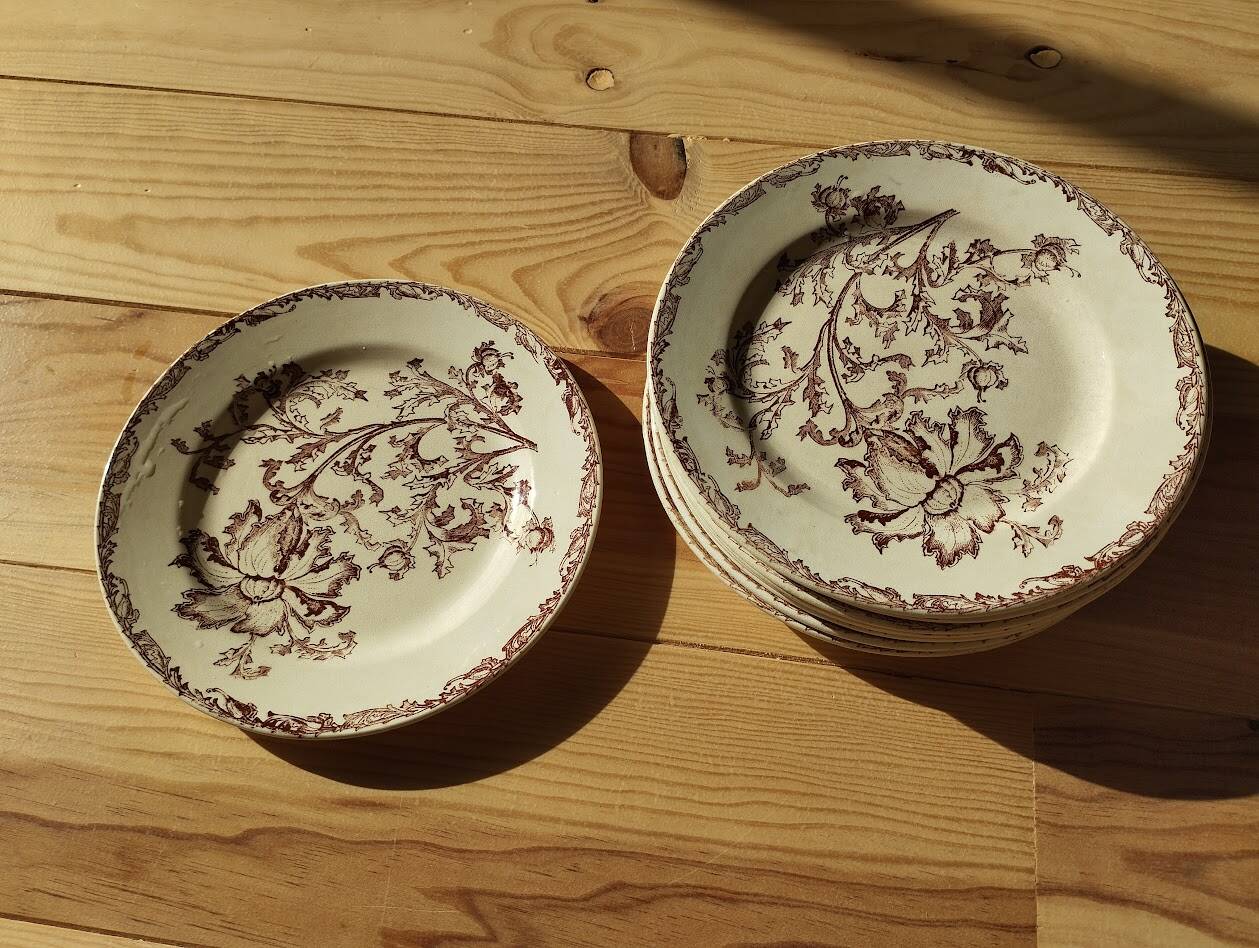 Datura plates iron earth