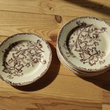 Datura plates iron earth