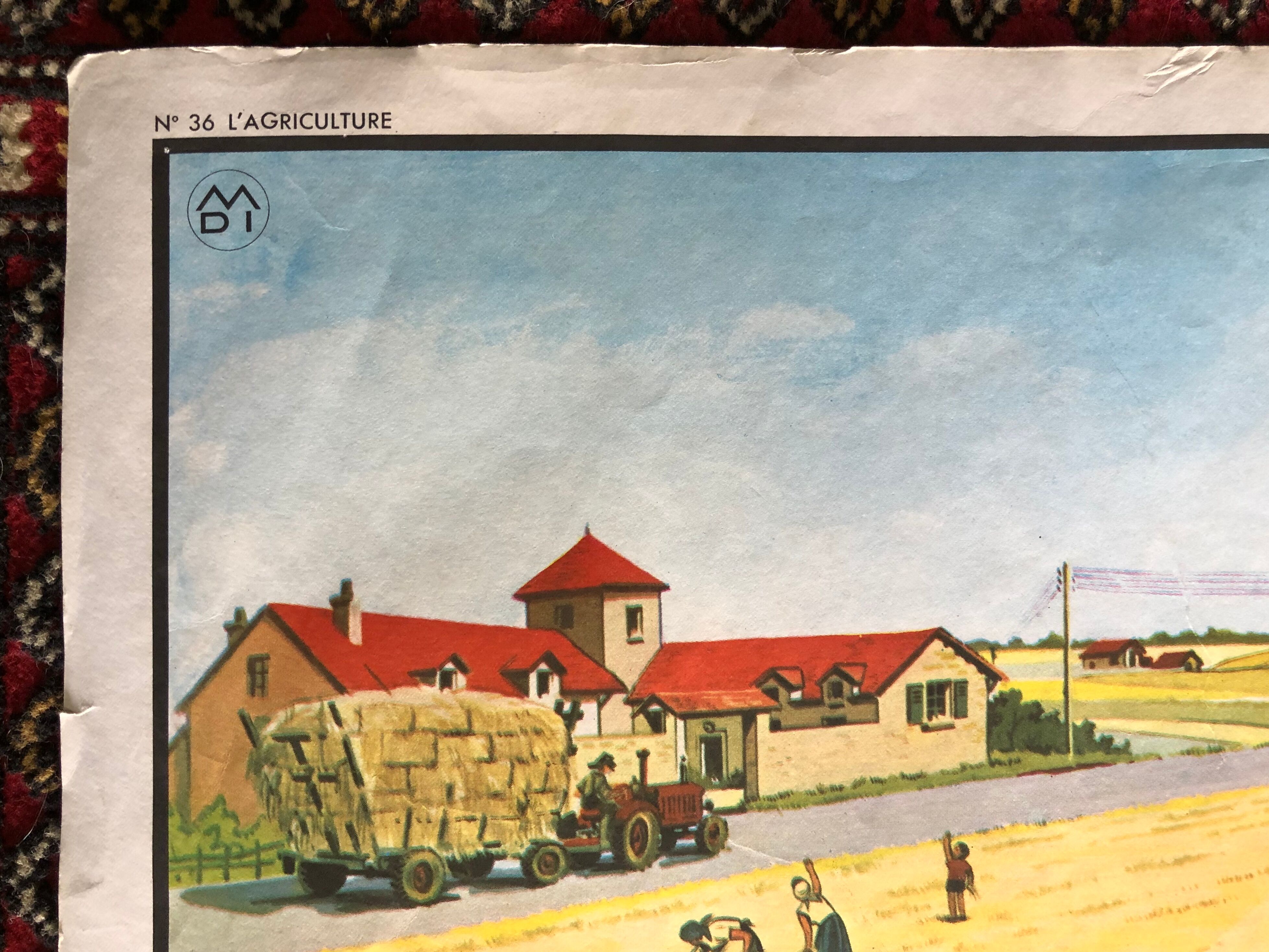 Ancient pedagogical poster