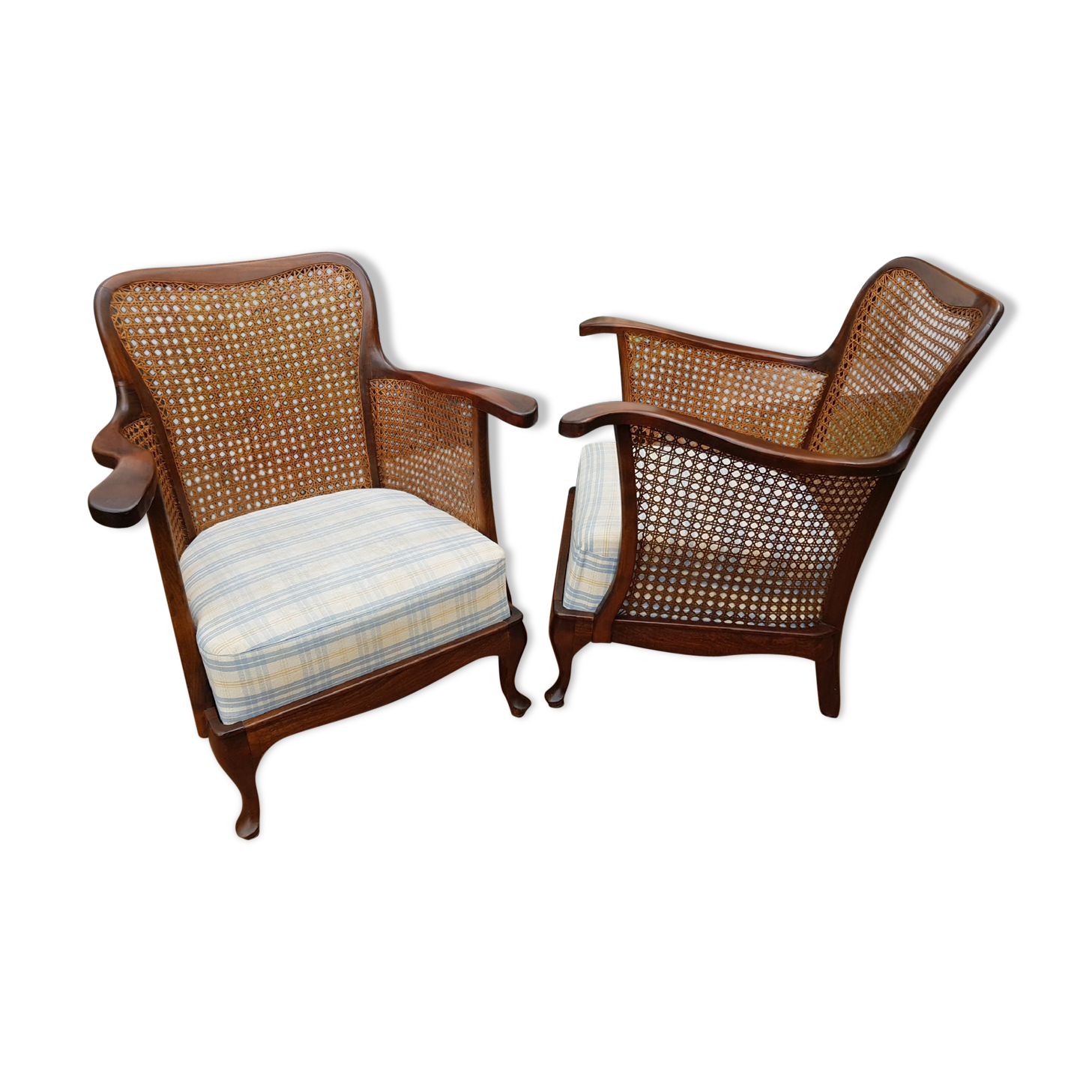 English canine armchair