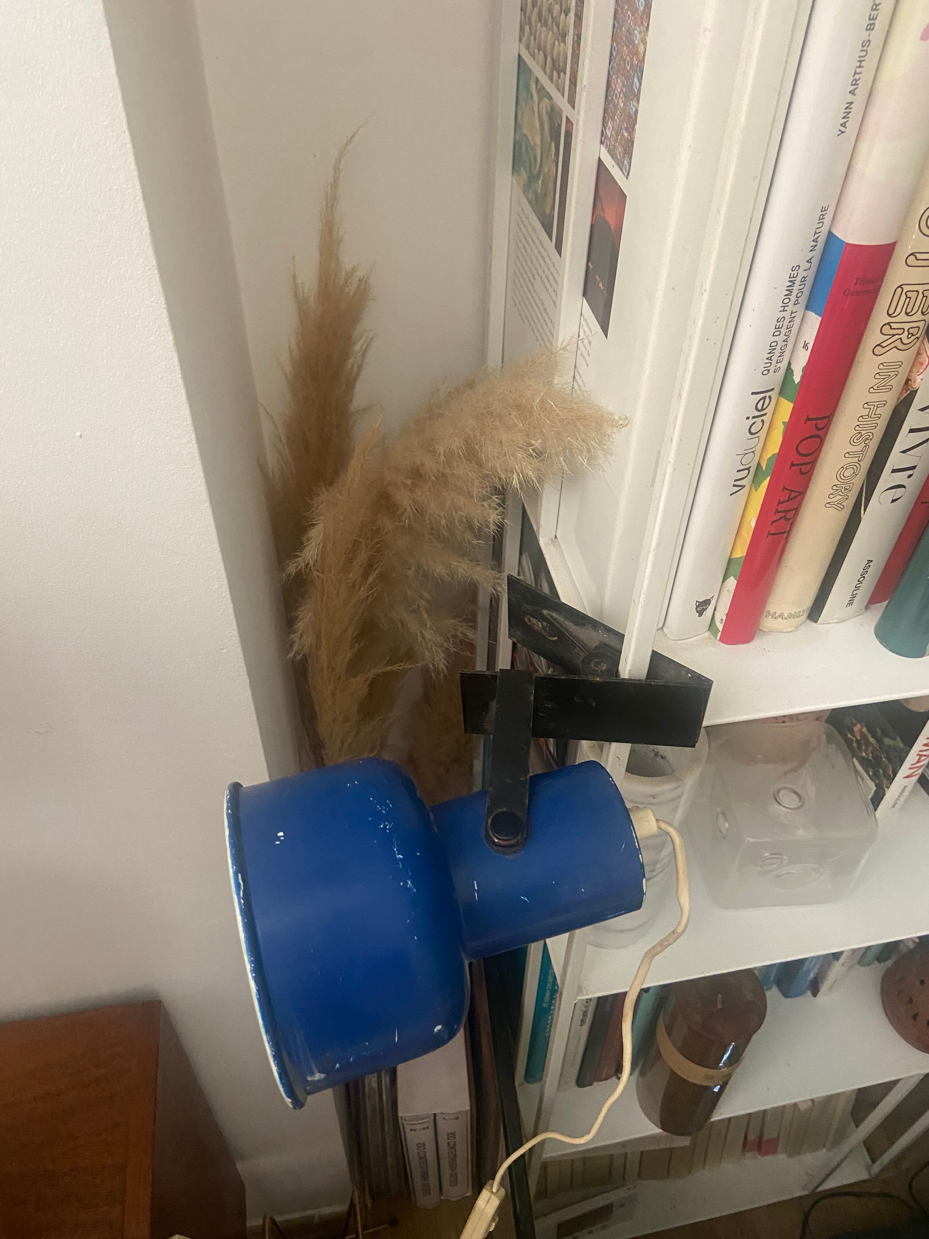 Vintage habitat clamp spot