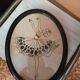 Broderie art déco