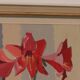 « Lily » de Sven Linder