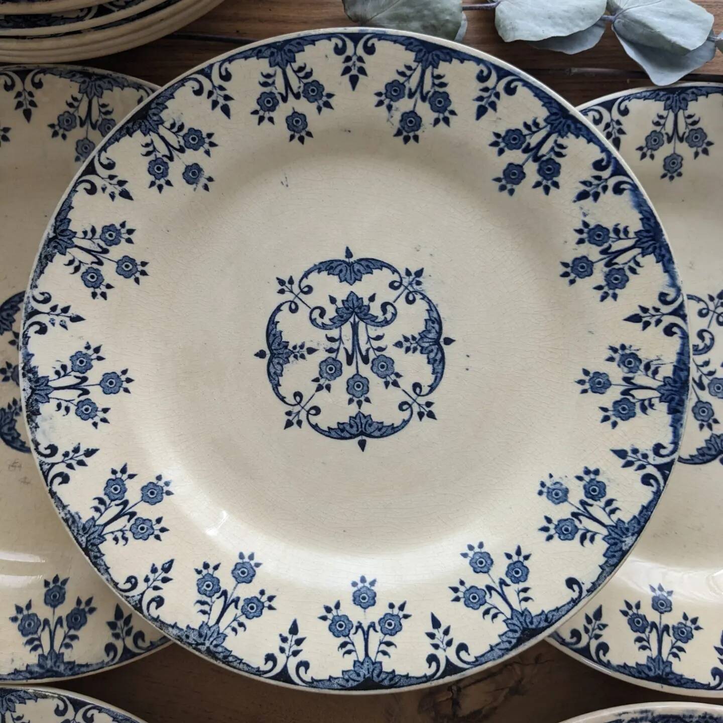 Set of 6 plates of Gien iron earth