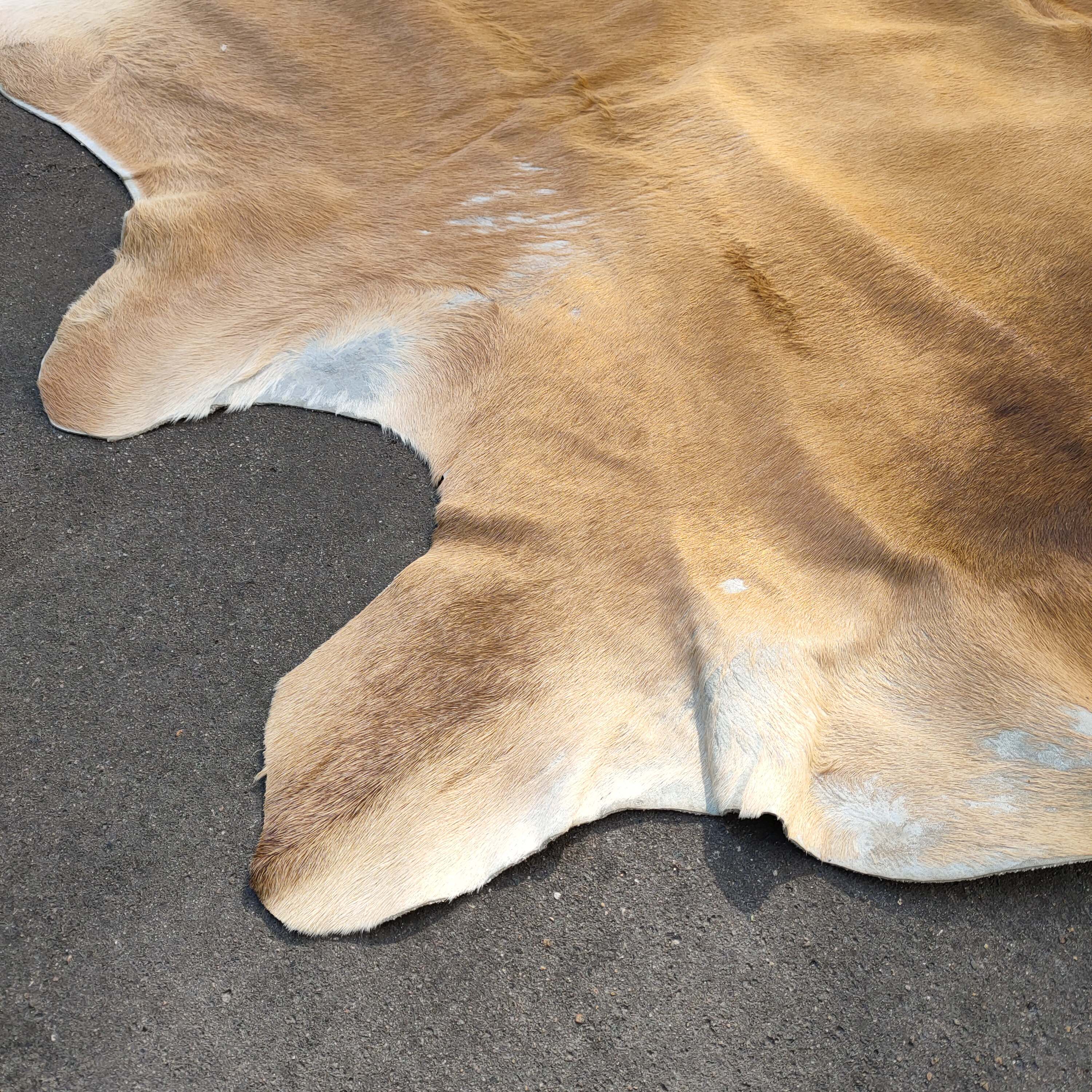 Large Cow skin 200x200cm