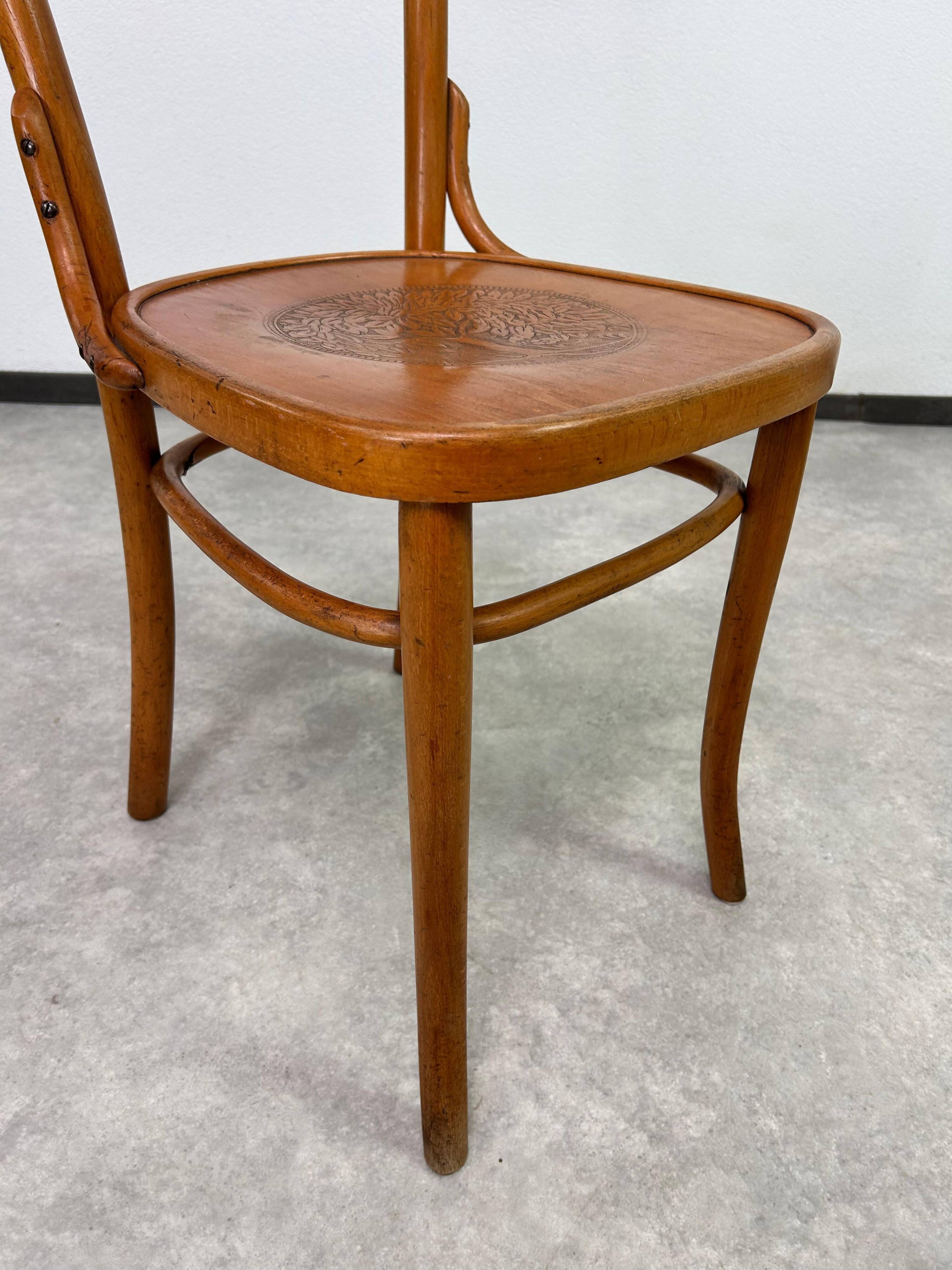 Bentwood dining chairs by Thonet