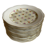 Service of 12 SFP porcelain dessert plates Société Française de Porcelaine