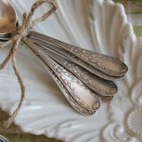 Box of 12 small spoons in vintage silver metal