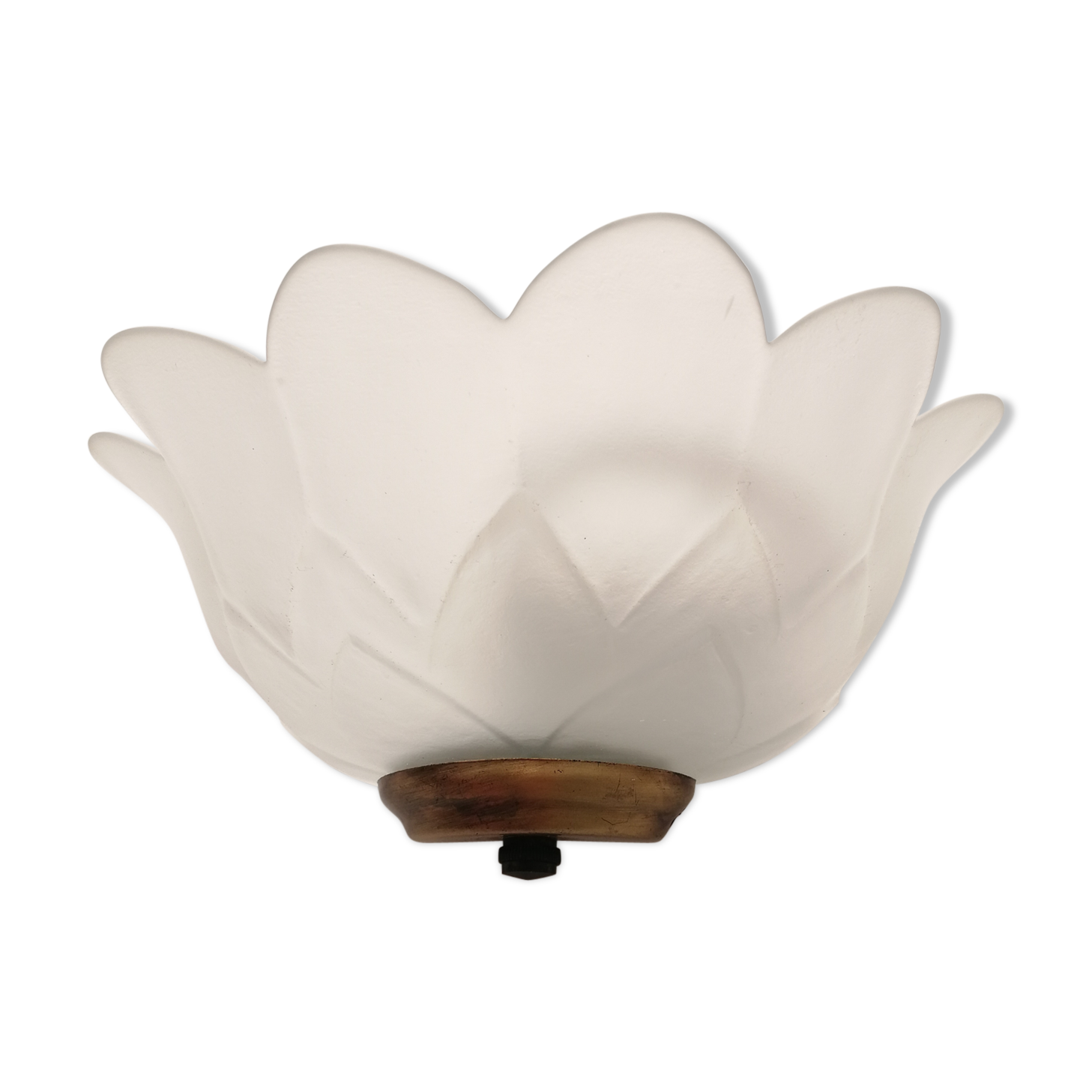 Flower-shaped molded glass wall lamp