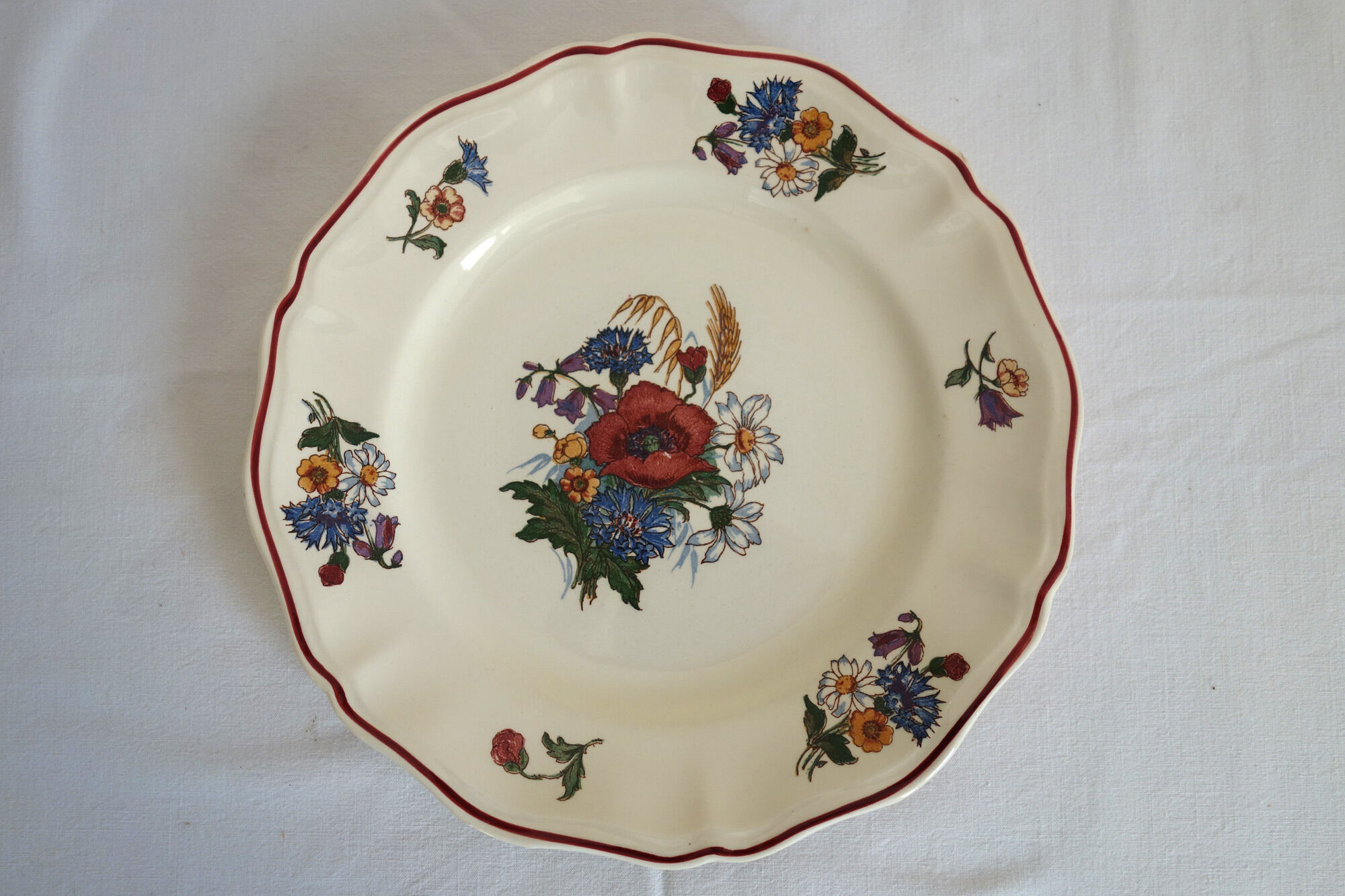 Set of 6 flat plates in earthenware Sarreguemines Model "Agreste" vintage