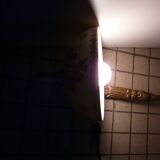 Art Nouveau wall light in bronze with a white Haviland porcelain shade.