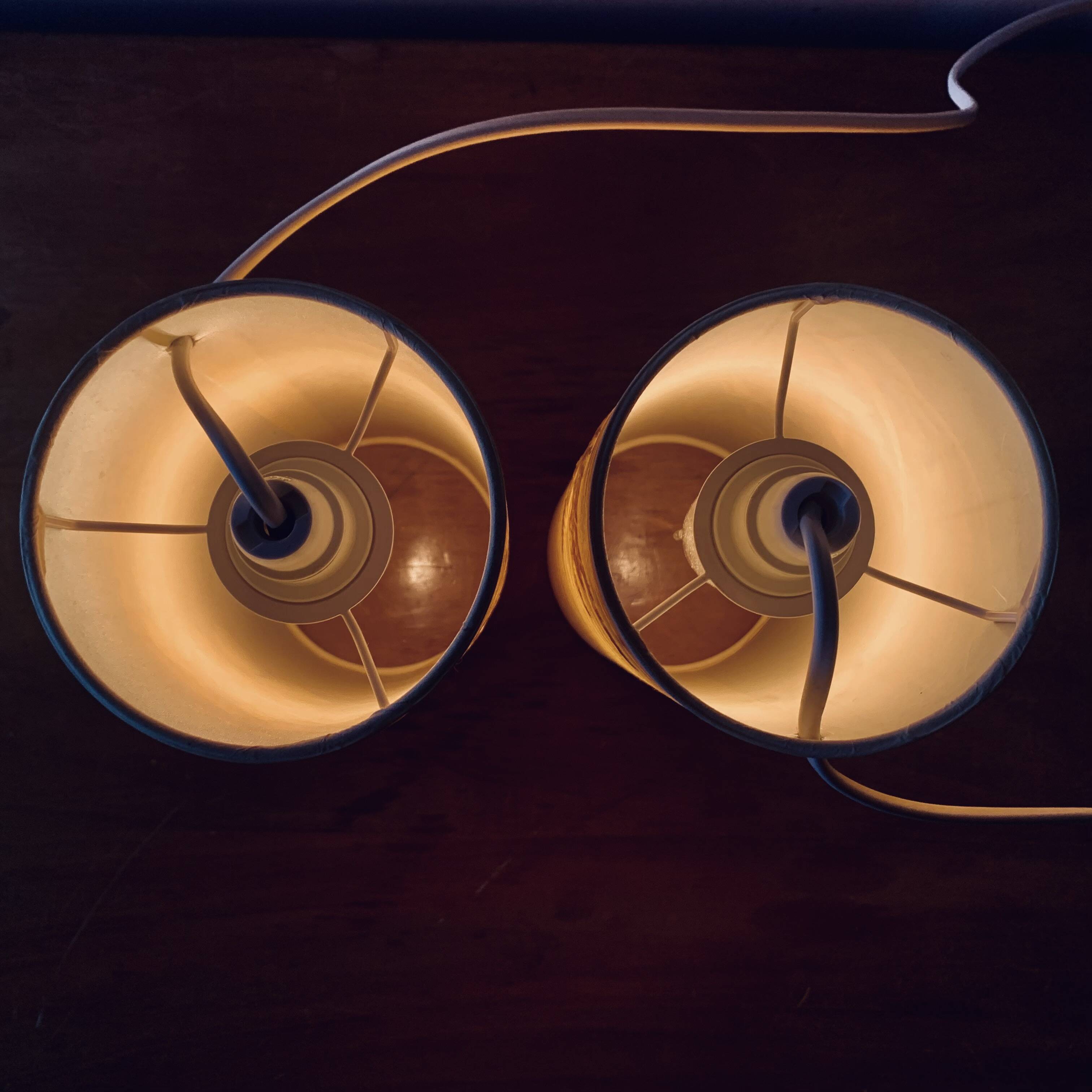 Pair of vintage dried flower lamps