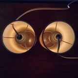 Pair of vintage dried flower lamps