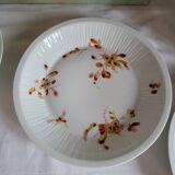5 Haviland France Limoges Porcelain Soup Plates