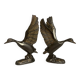 Pair of two-tone brass bird bookends
