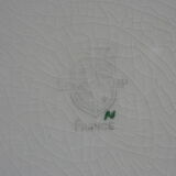 Strawberry decor dabbling plate