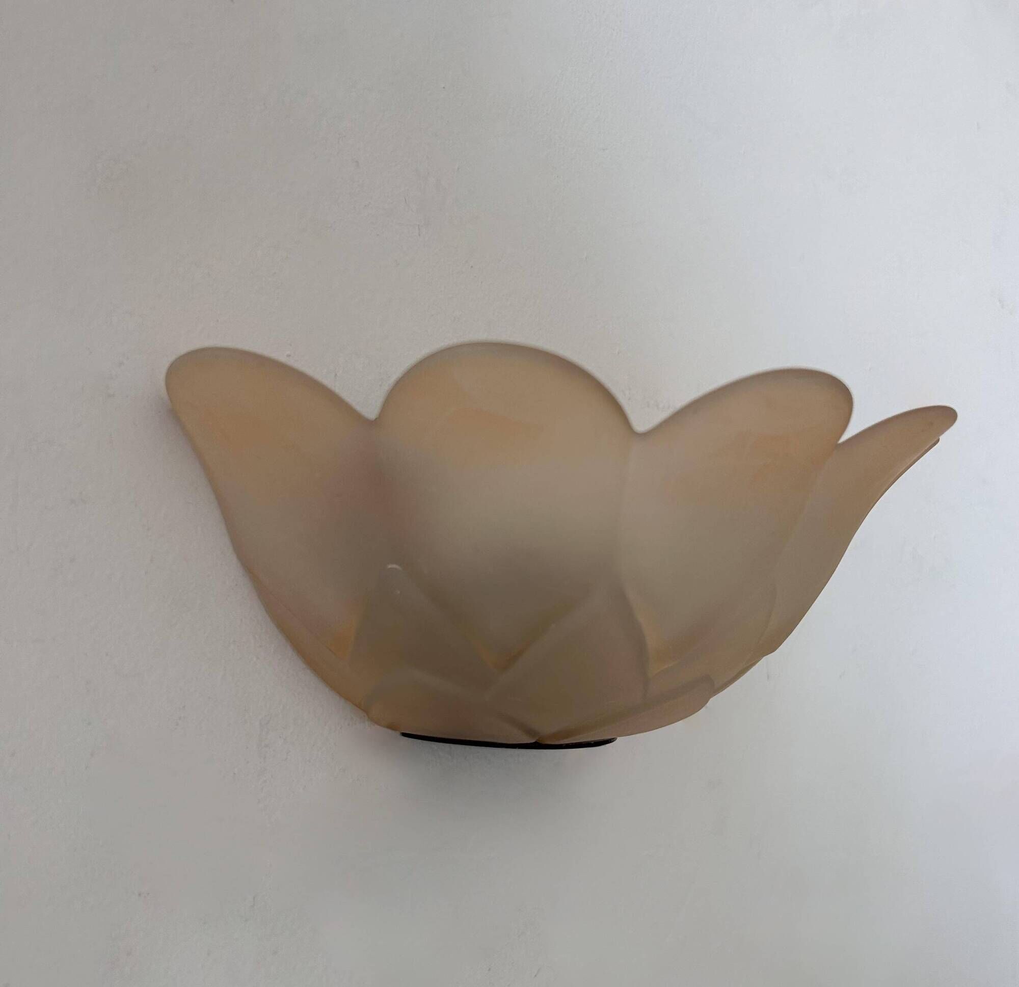 Pair of vintage wall lights, pink sandblasted glass, France 1970