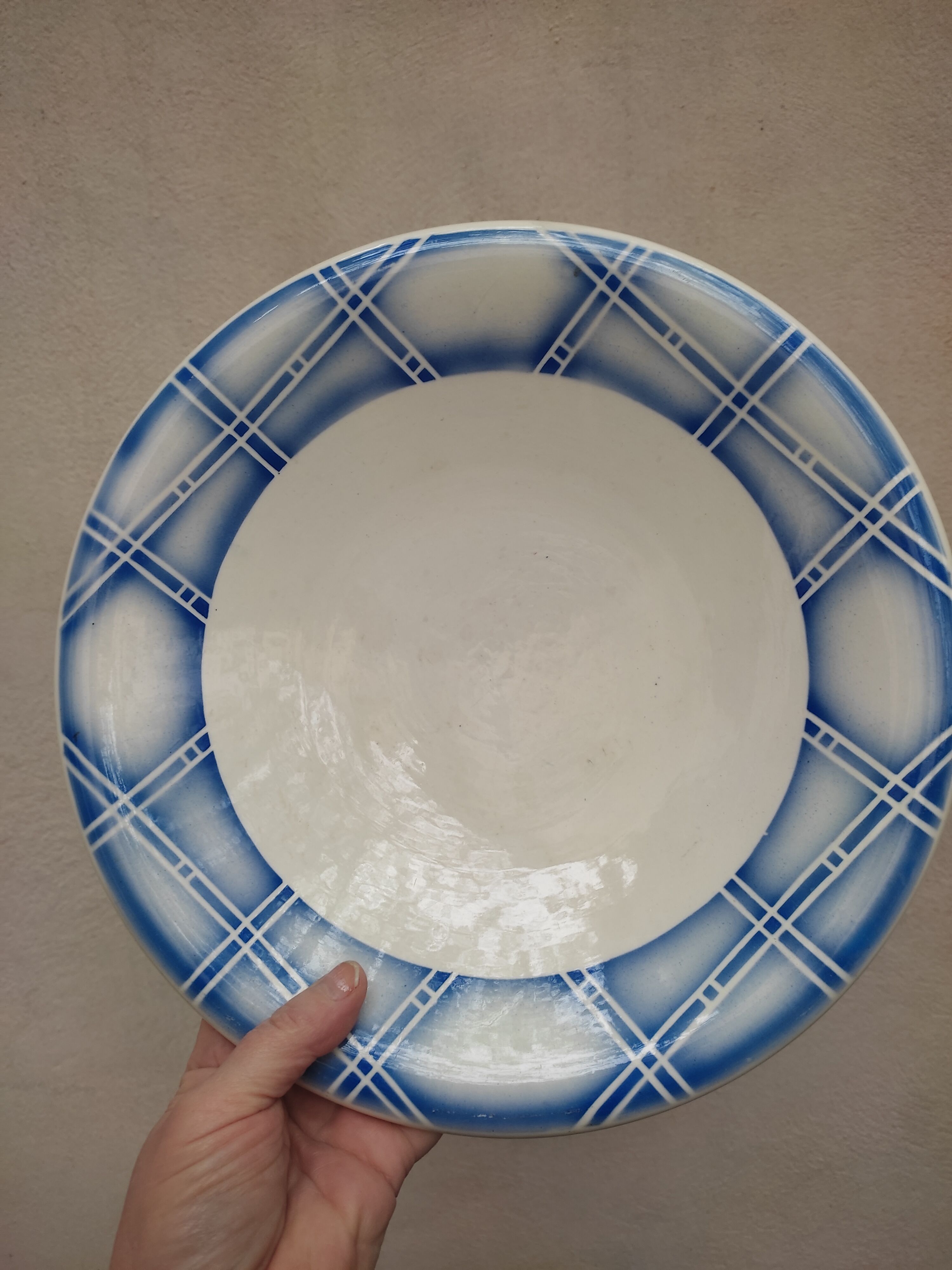 Semi hollow earthenware dish by Digoin