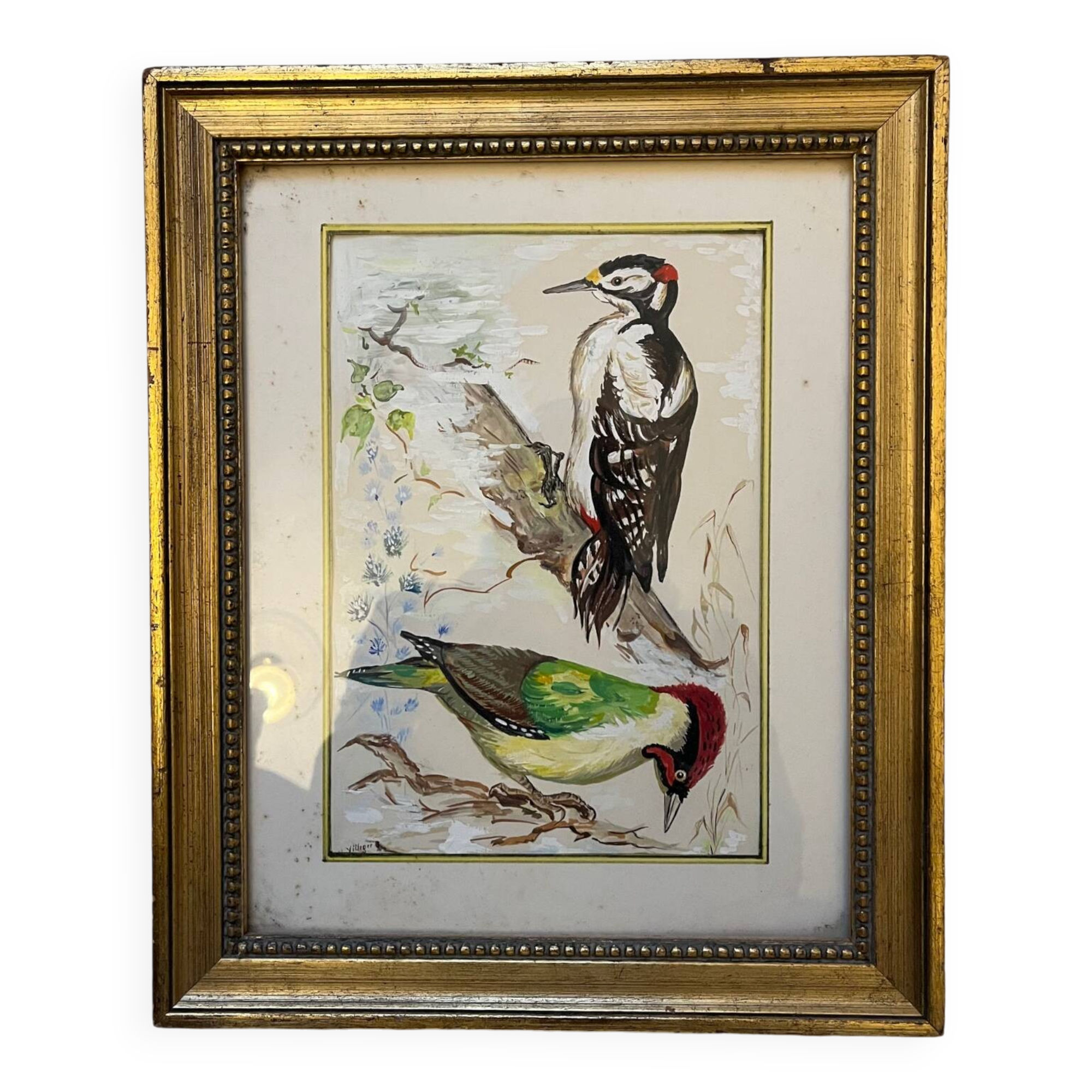 Table: green woodpecker and great spotted woodpecker