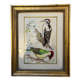 Table: green woodpecker and great spotted woodpecker