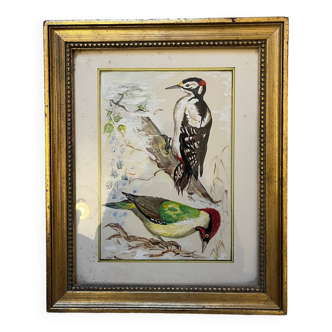 Table: green woodpecker and great spotted woodpecker