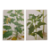 Set of 2 botanical plates Geigy, thorny apple and black henbath