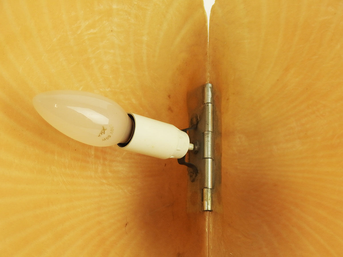 Shell lamp design Michèle Mahé, distributed to Disderot