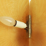 Shell lamp design Michèle Mahé, distributed to Disderot