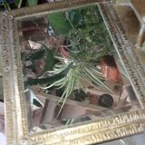 Animal decor mirror 25x35cm