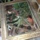 Animal decor mirror 25x35cm