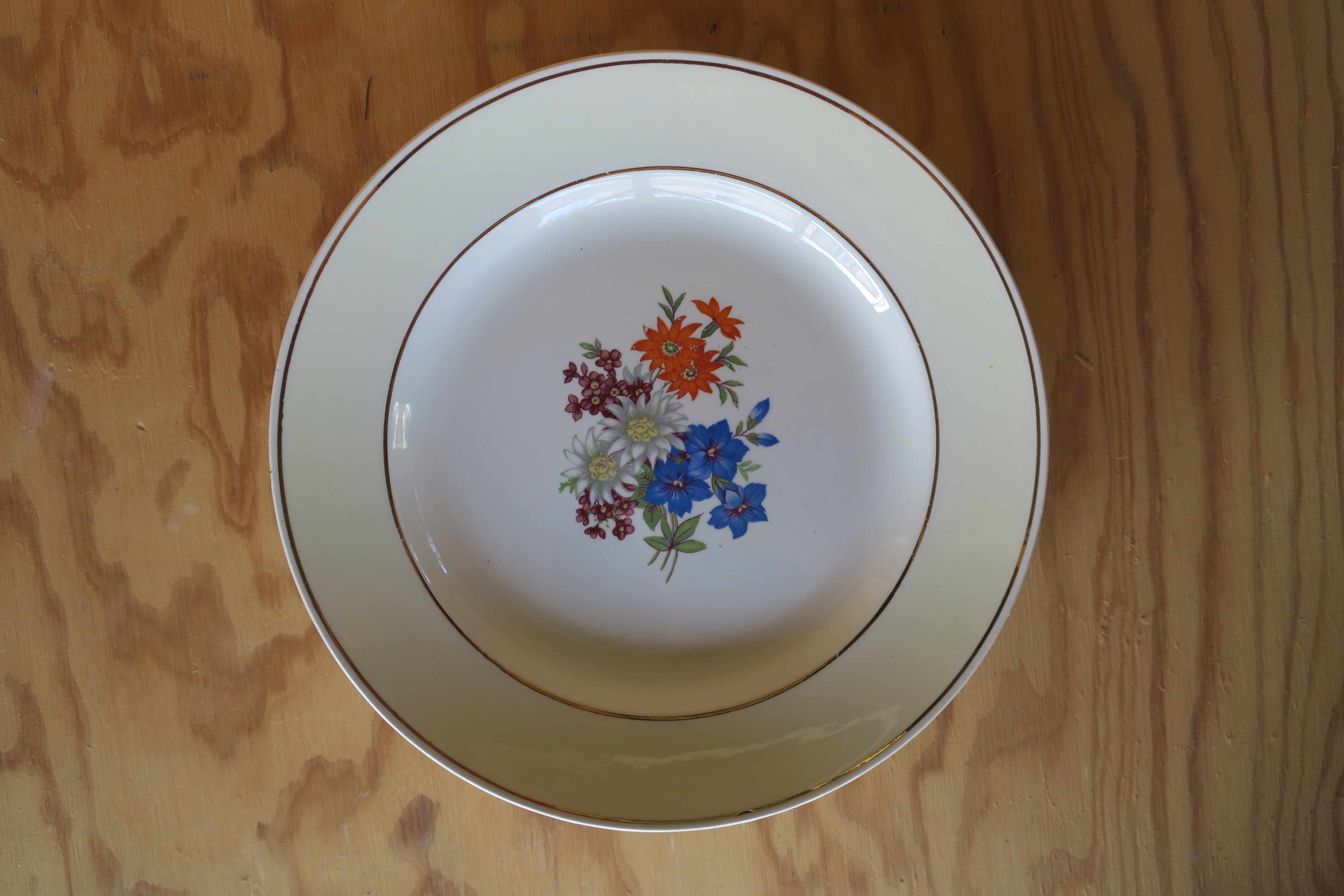 6 vintage gien France plates