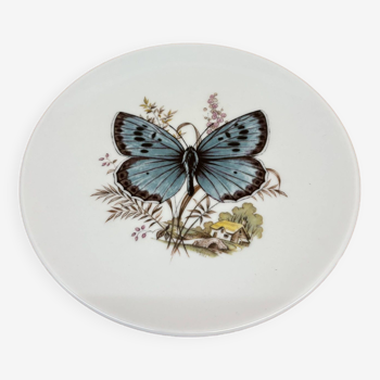 Assiette murale Hasler motif papillon