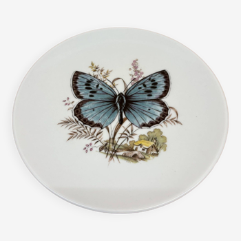 Hasler butterfly wall plate