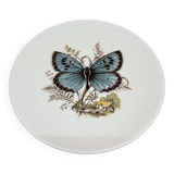 Hasler butterfly wall plate