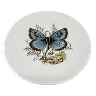 Assiette murale Hasler motif papillon