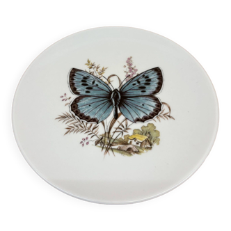 Hasler butterfly wall plate